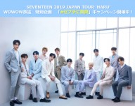 ãWOWOWã4æ1æ¥17æè§£ç¦ãSEVENTEEN 2019 JAPAN TOUR âHARUâã2