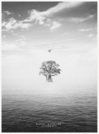 SNS用_BIRD_jkt_0924-02