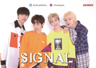 スクリーンショット 2019-10-05 5.07.29